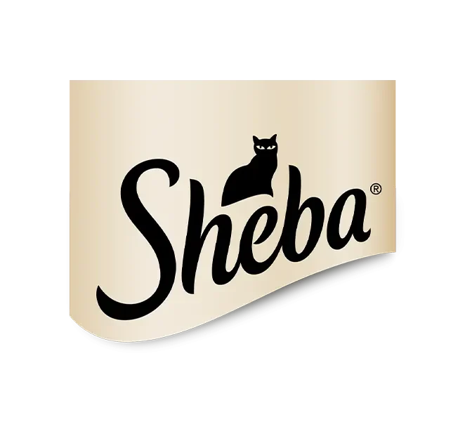 Logo di un nostro partner