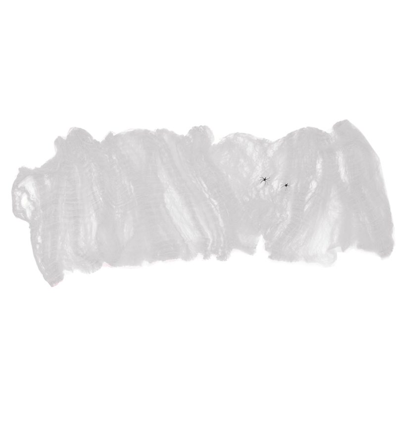 DECORAZIONE HALLOWEEN – Ragnatela 40Gr Con 2 Ragni