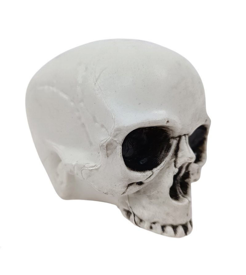 DECORAZIONE HALLOWEEN – Teschio In Plastica 10Cm
