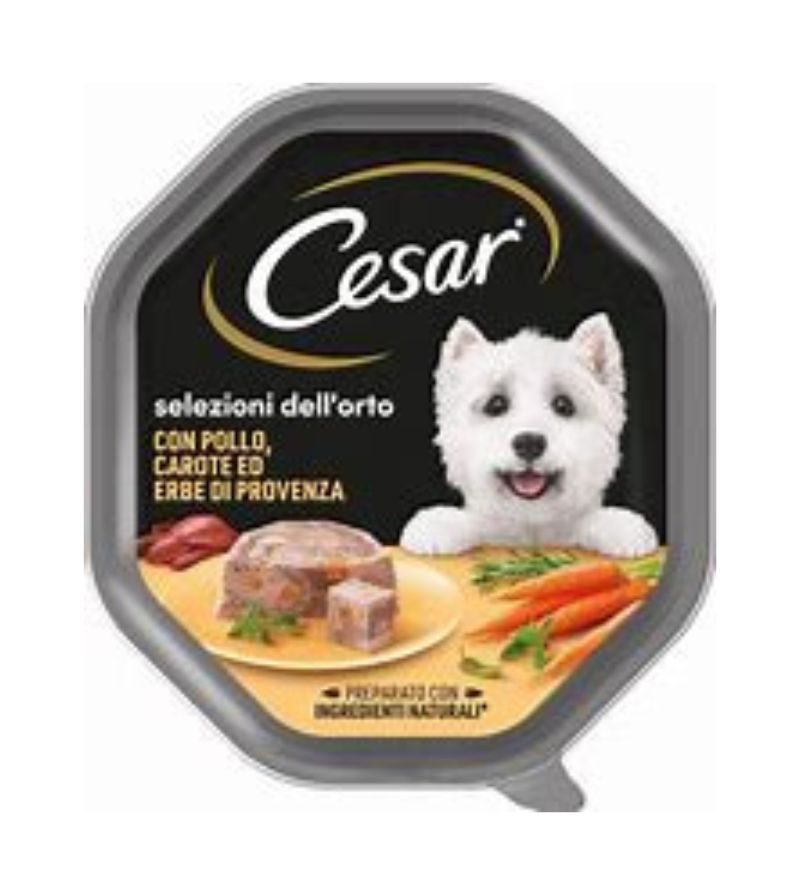 CESAR DOG – Umido Pollo E Carote – 150Gr