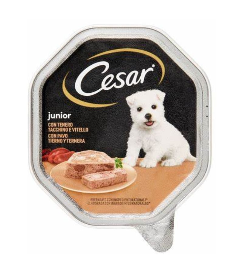 CESAR DOG – Umido Junior Vitello E Tacchino – 150Gr