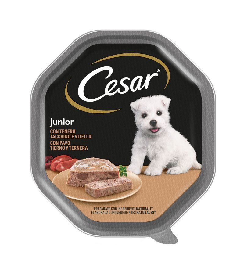 CESAR DOG – Junior Tacchino e Vitello – 150Gr
