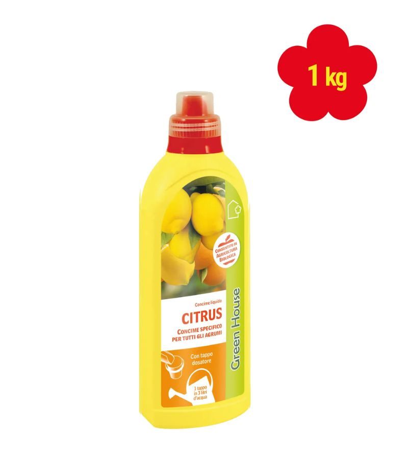 GREEN HOUSE – Citrus – 1Kg