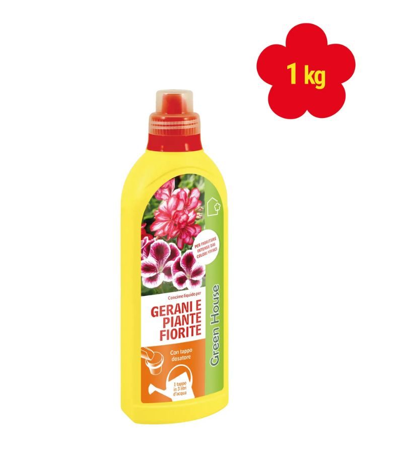 GREEN HOUSE – Gerani – 1Kg