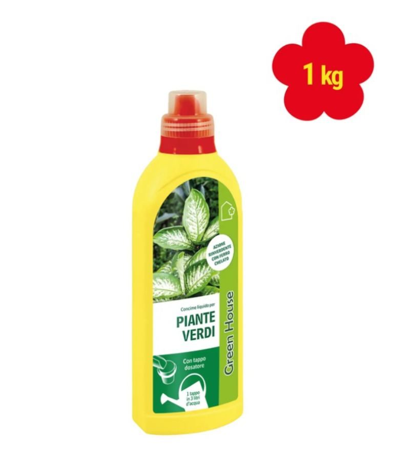 GREEN HOUSE – Piante Verdi – 1Kg